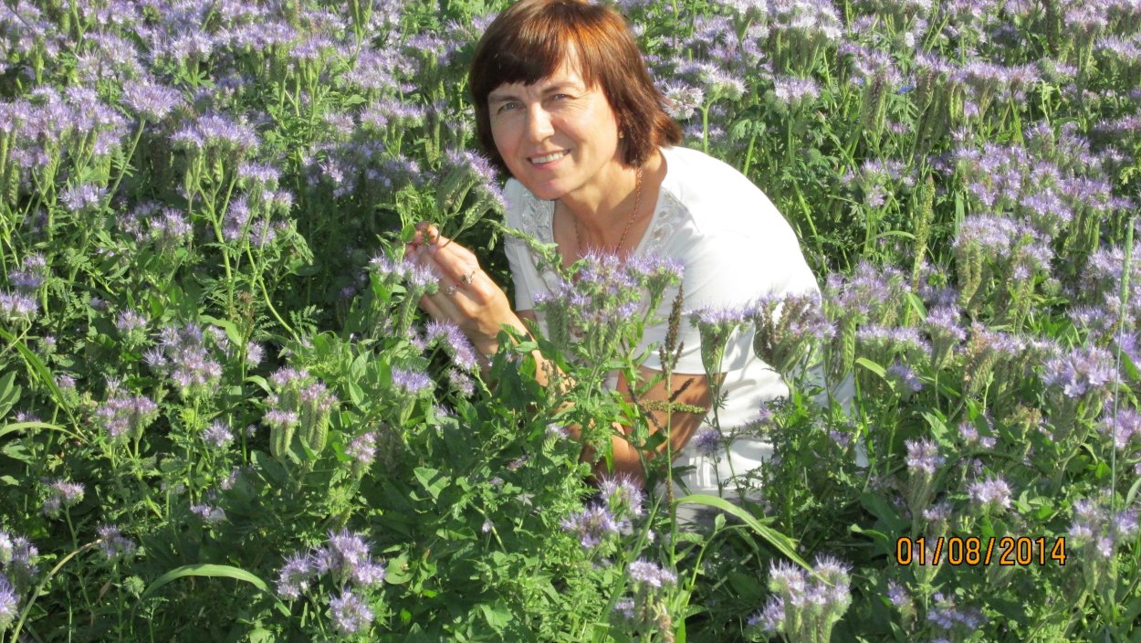 Резеда душистая