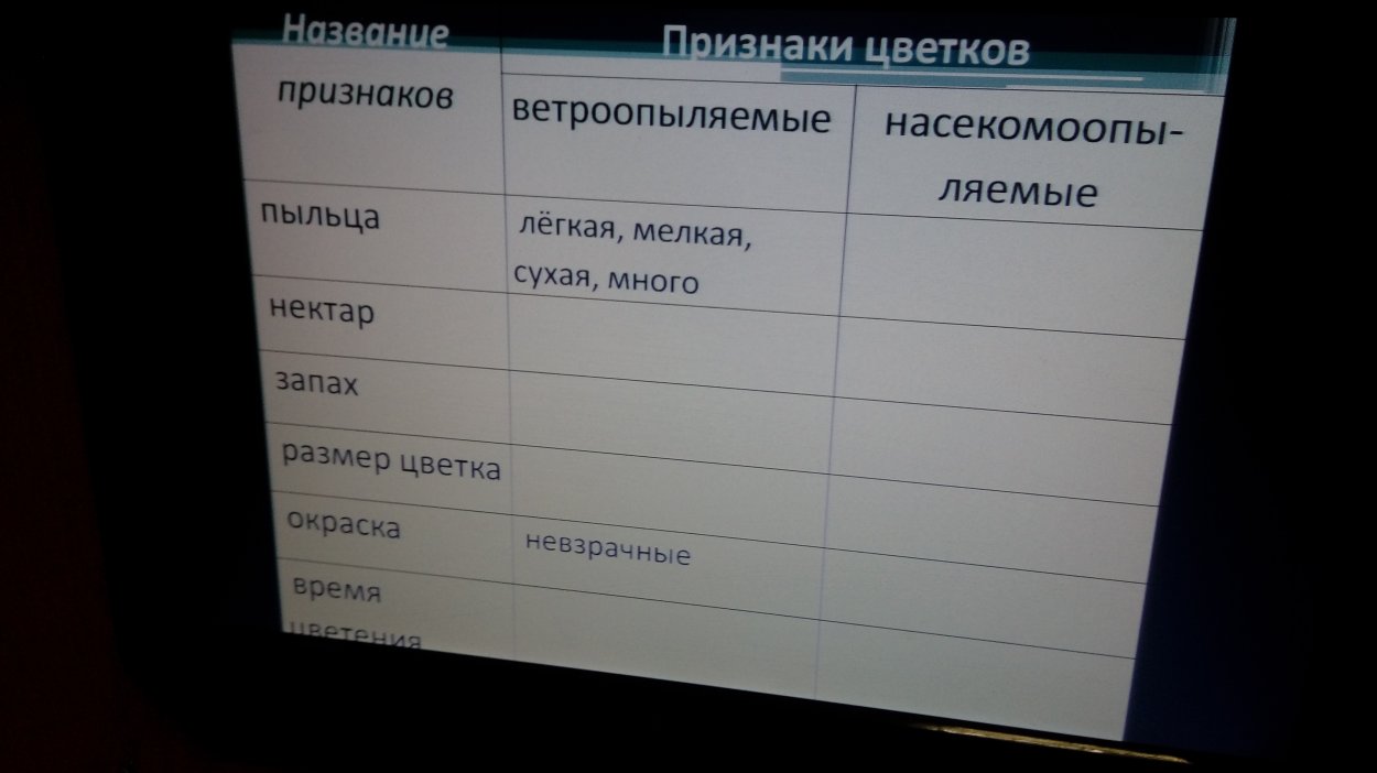 Пыльца ветроопыляемых растений