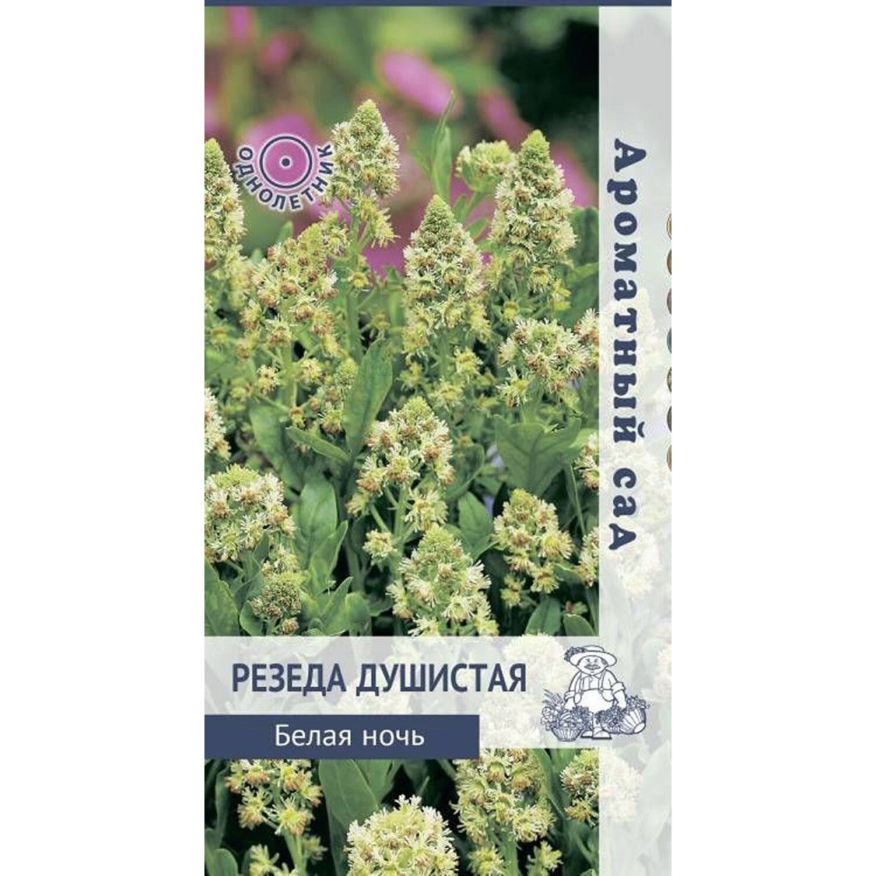 Цветок Резеда душистая