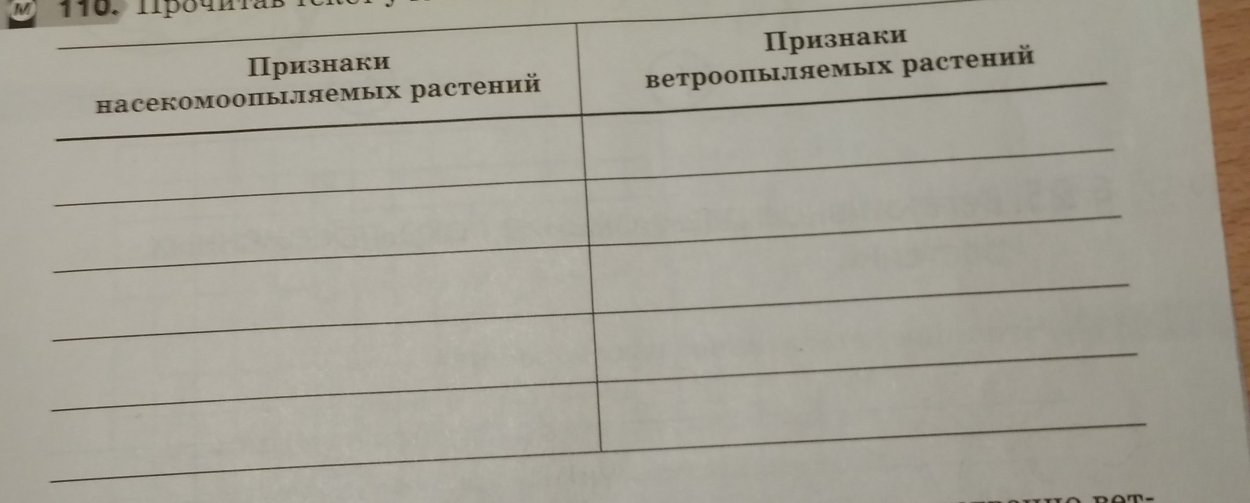 Жизненный цикл папоротника с набором хромосом