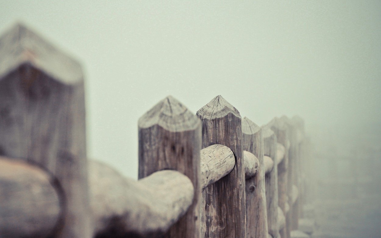 Цветочная изгородь