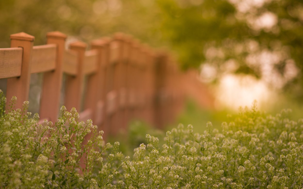 Летний забор