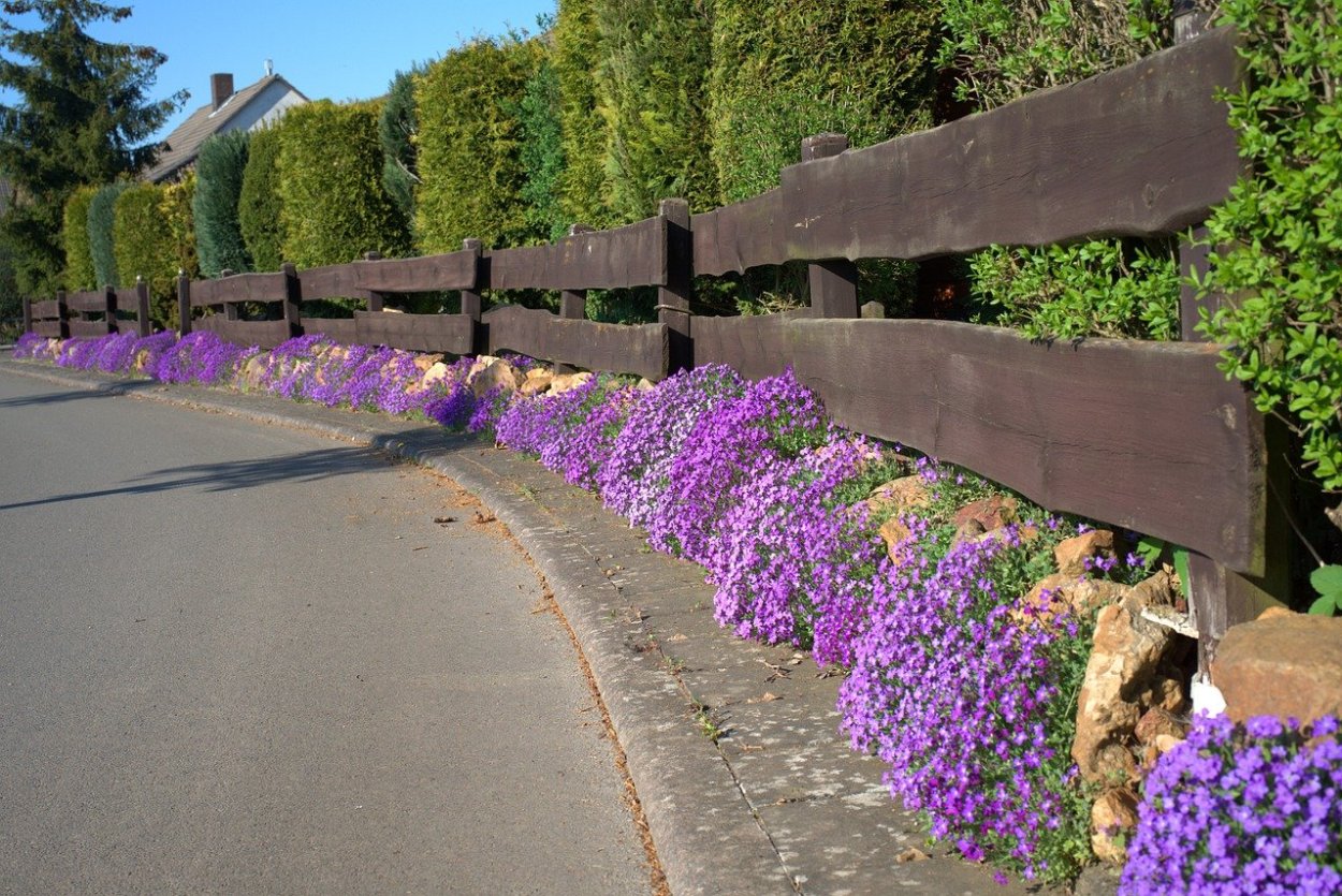 Изгородь деревня лето