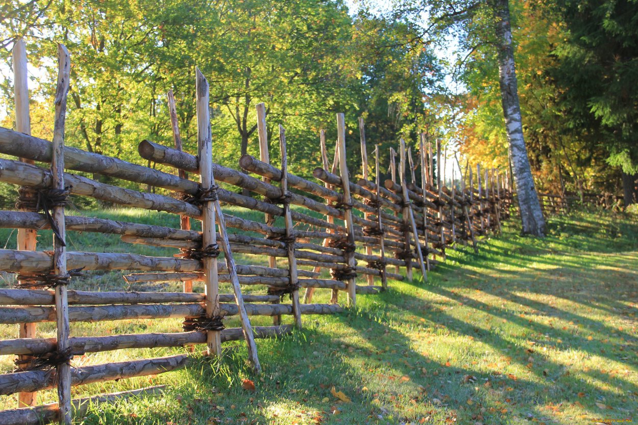 Плетеный забор на прозрачном фоне