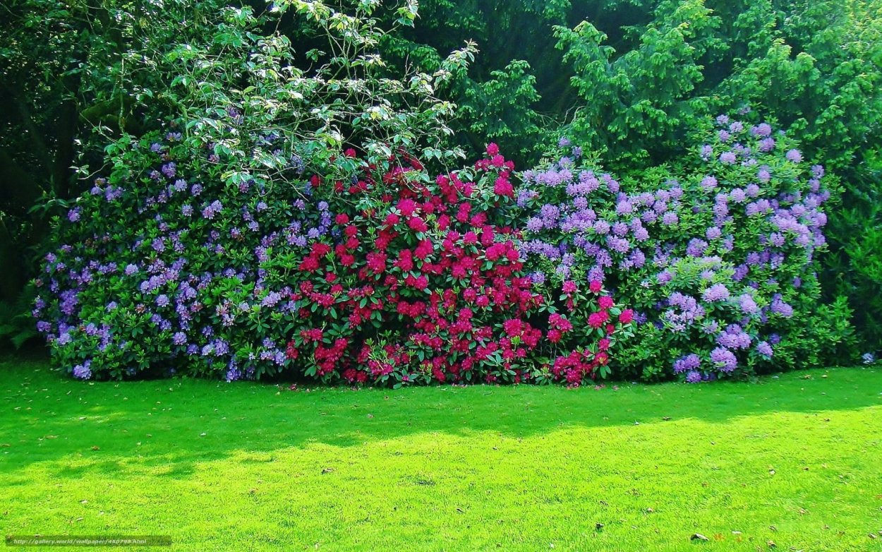 Плетеный забор на прозрачном фоне