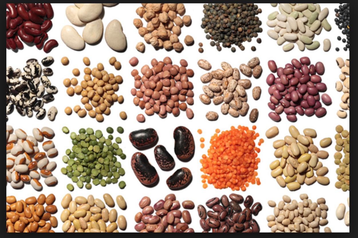 Строение цветка бобовых растений