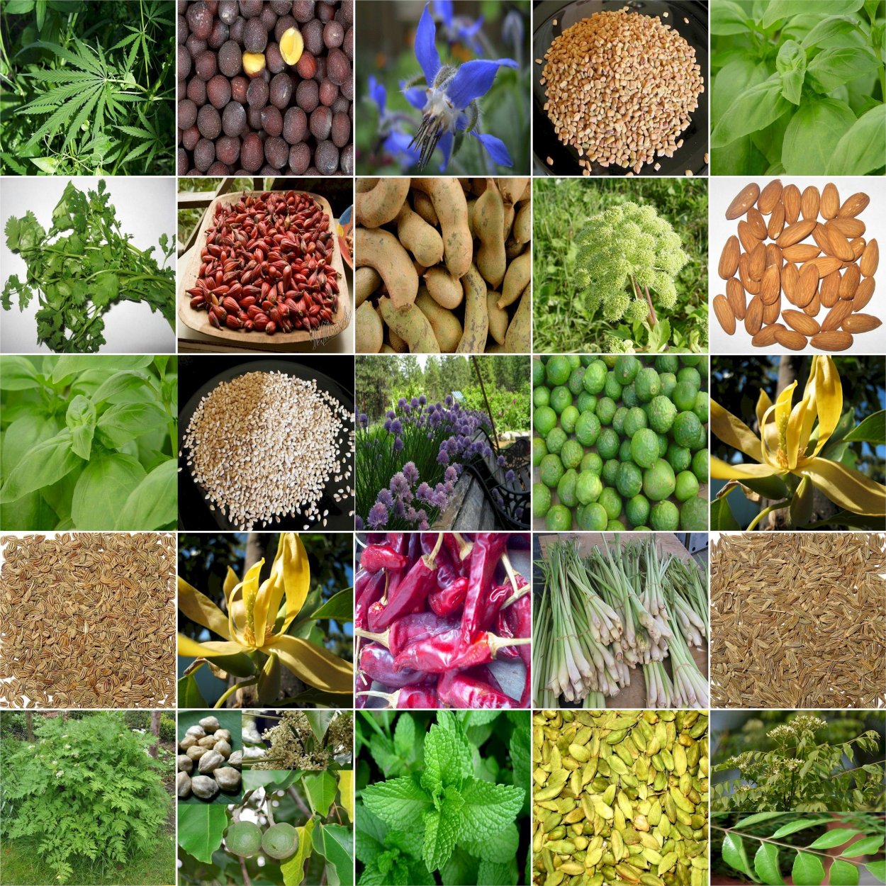 Восточные специи