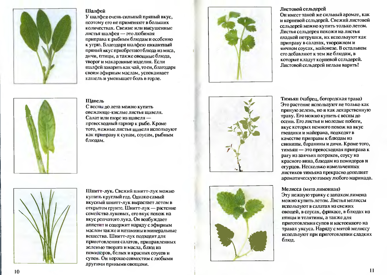 Сочетание специй и пряностей