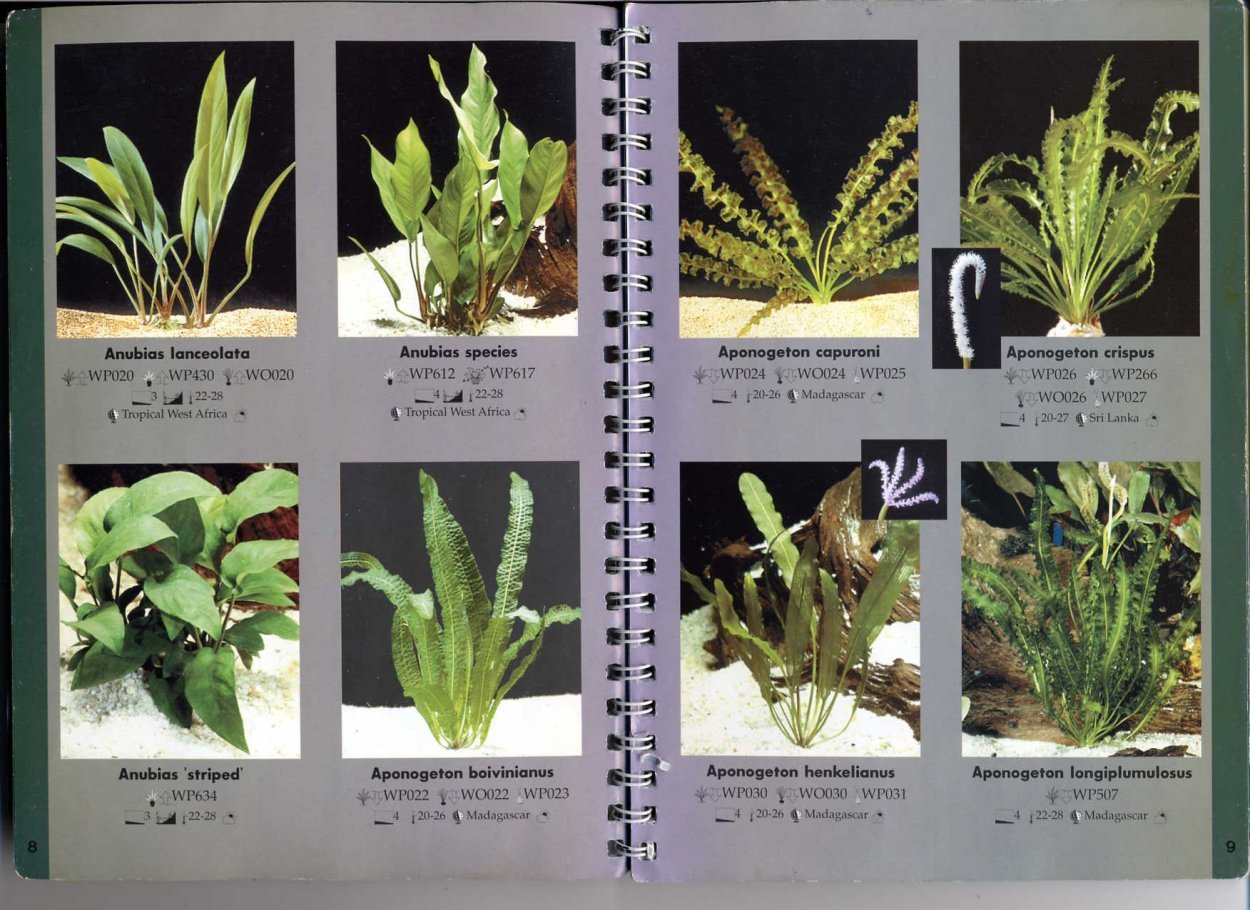 Аквариумные растения каталог