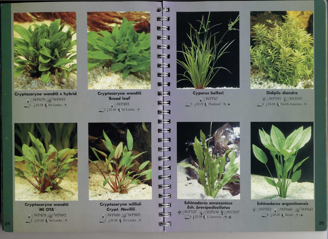 Аквариумные растения названия