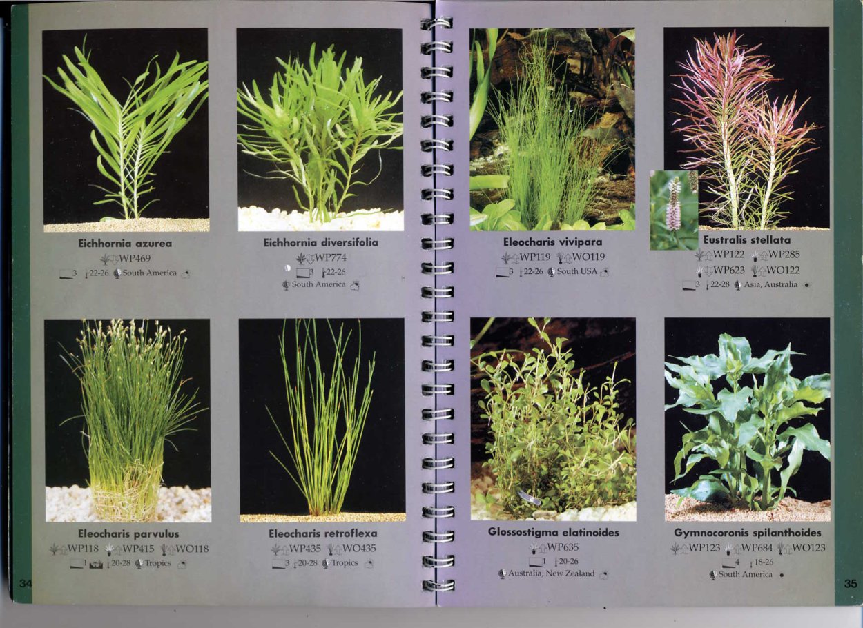 Определитель аквариумных растений