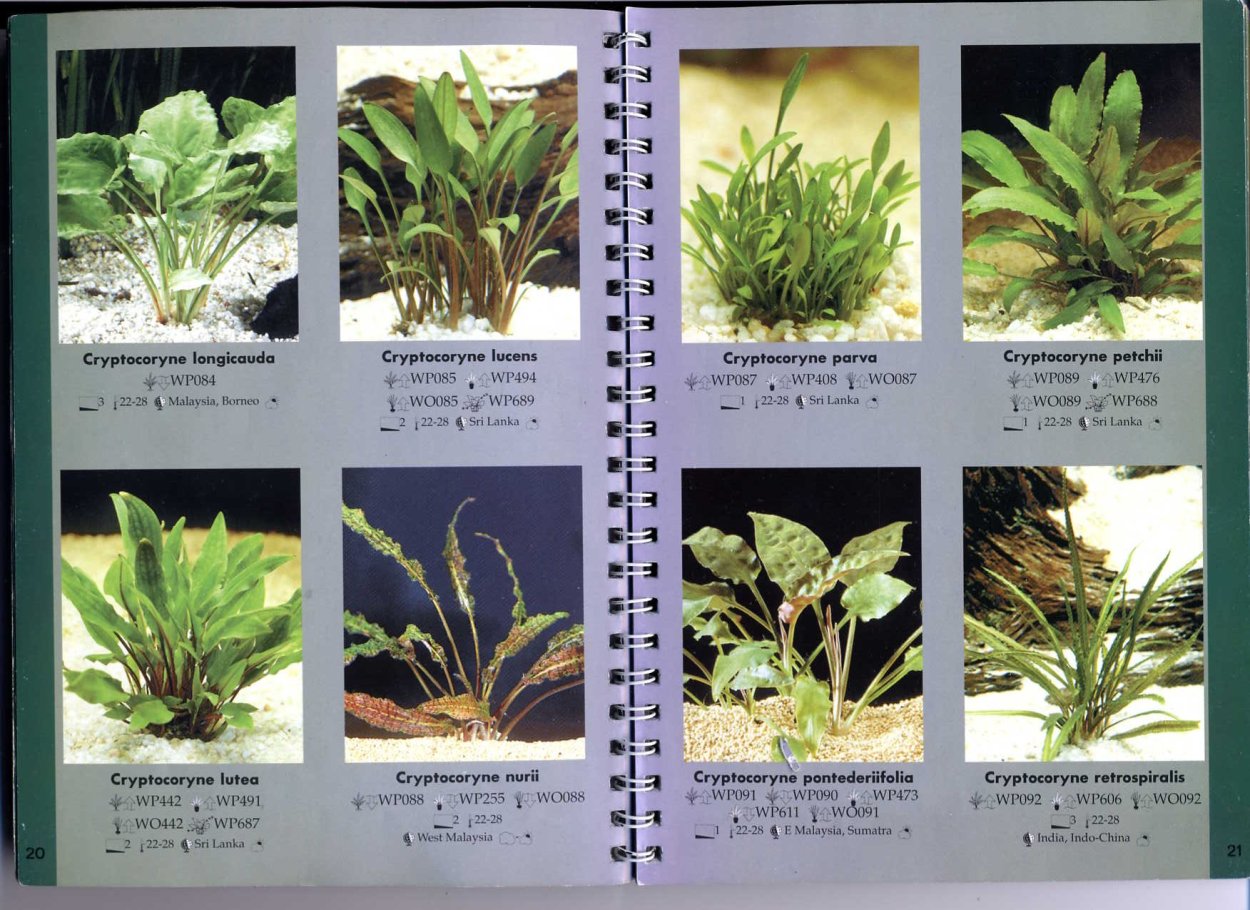 Каталог растений