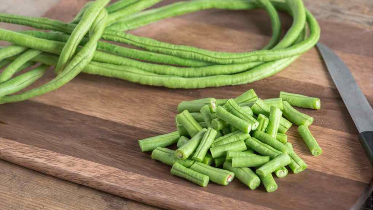 Заготовки из вигны