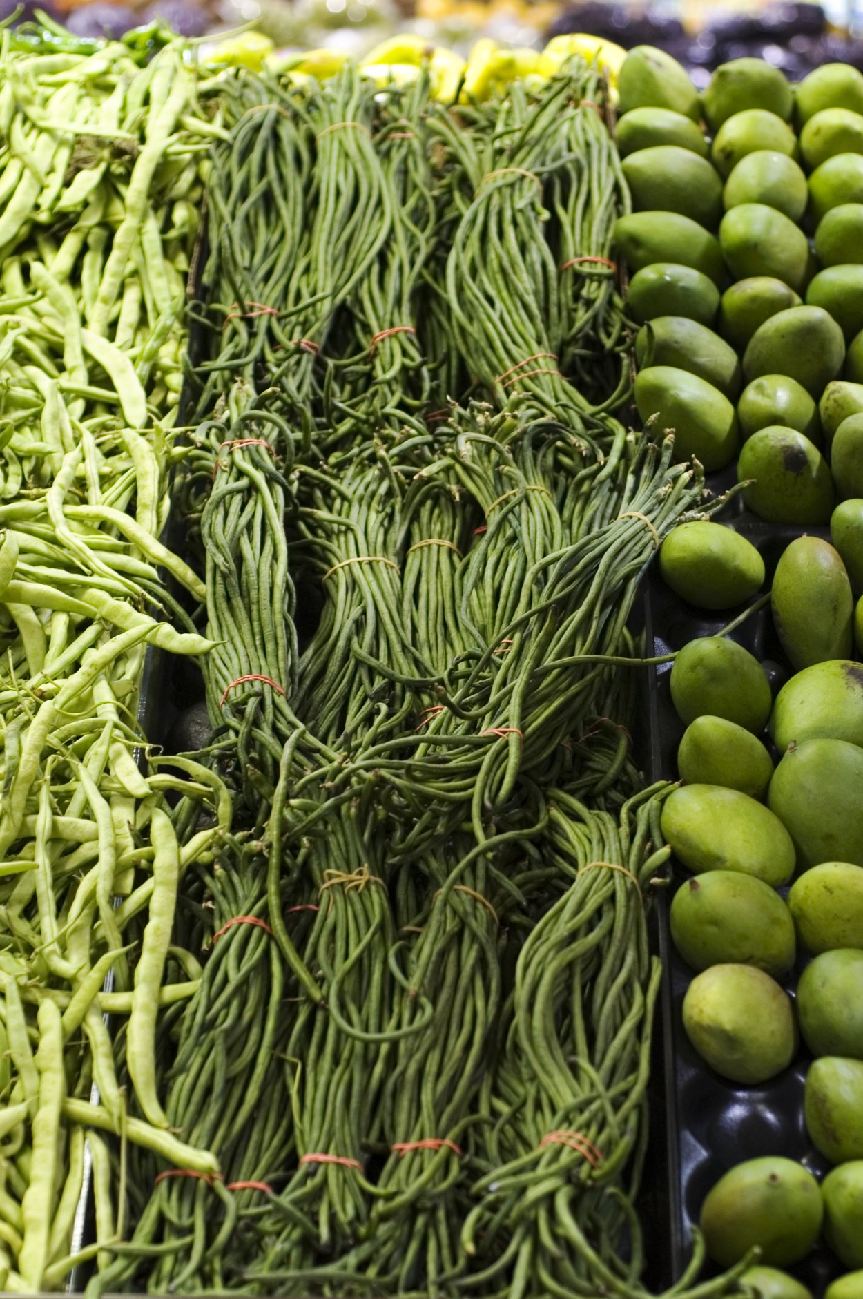 Вигна китайская