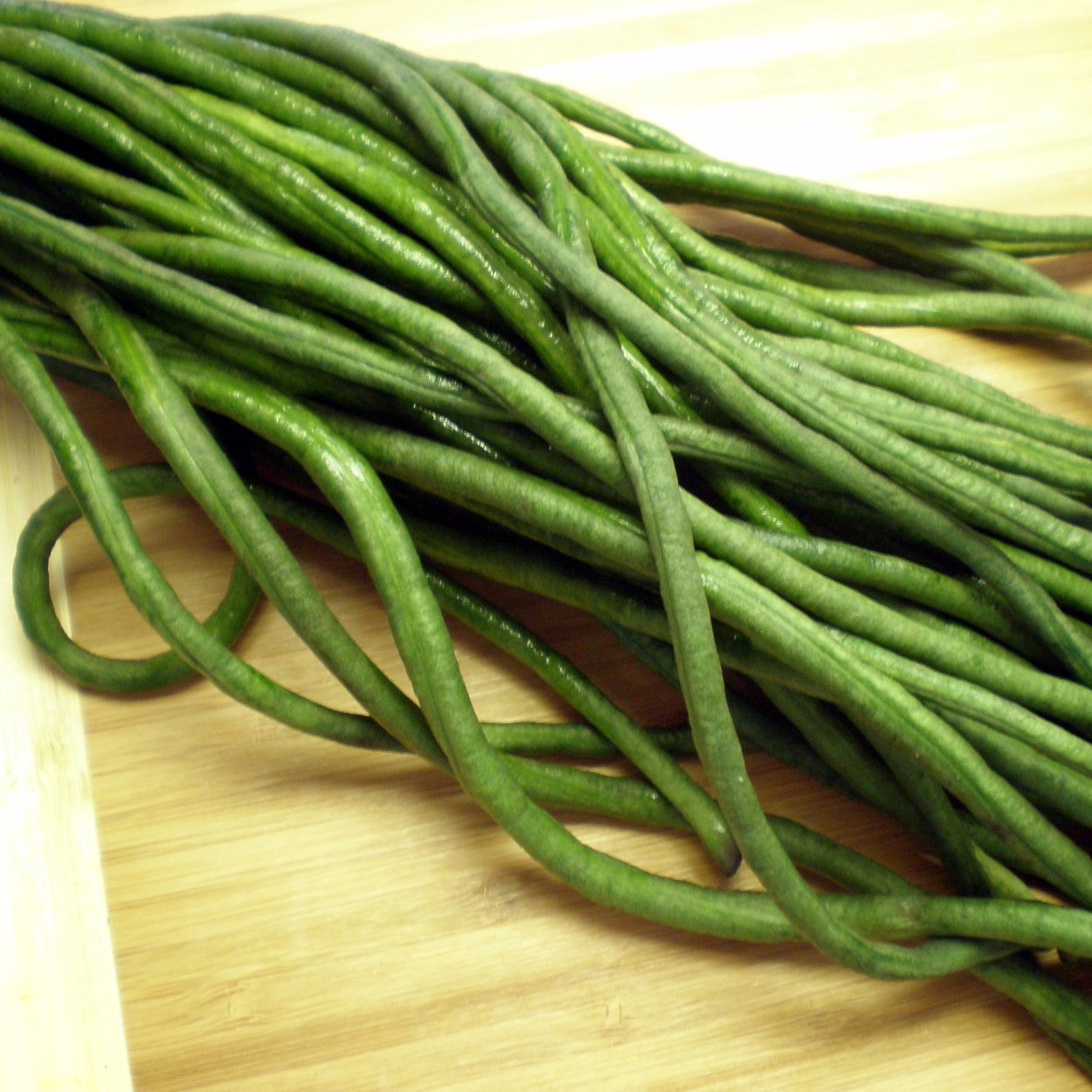 Вигна Сибирский великан