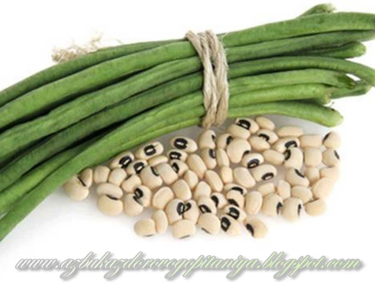 Спаржевая фасоль Bona