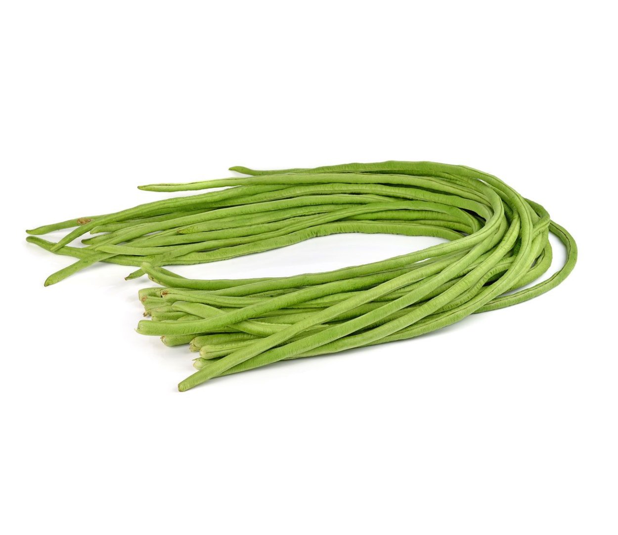 Стручковая фасоль Джандо