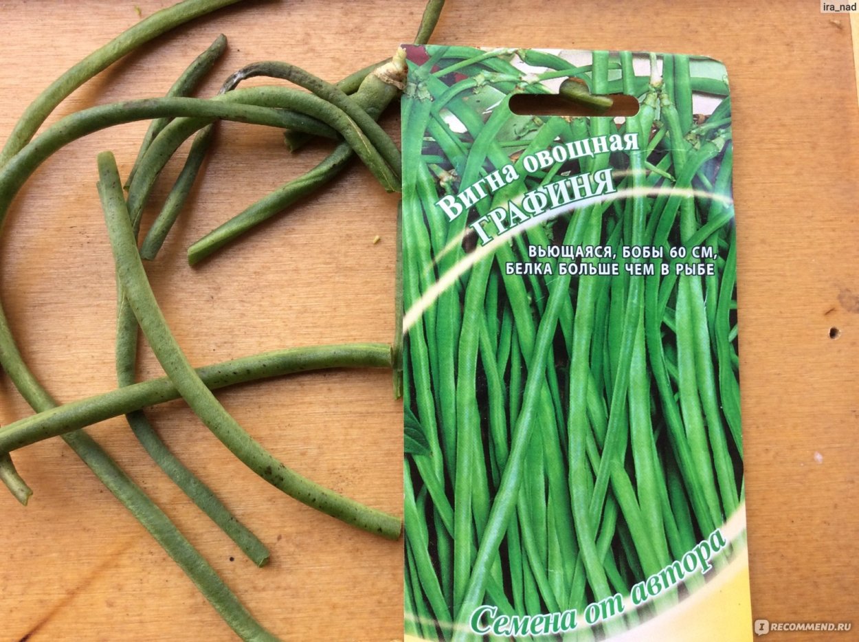 Стручковая фасоль вигна семена