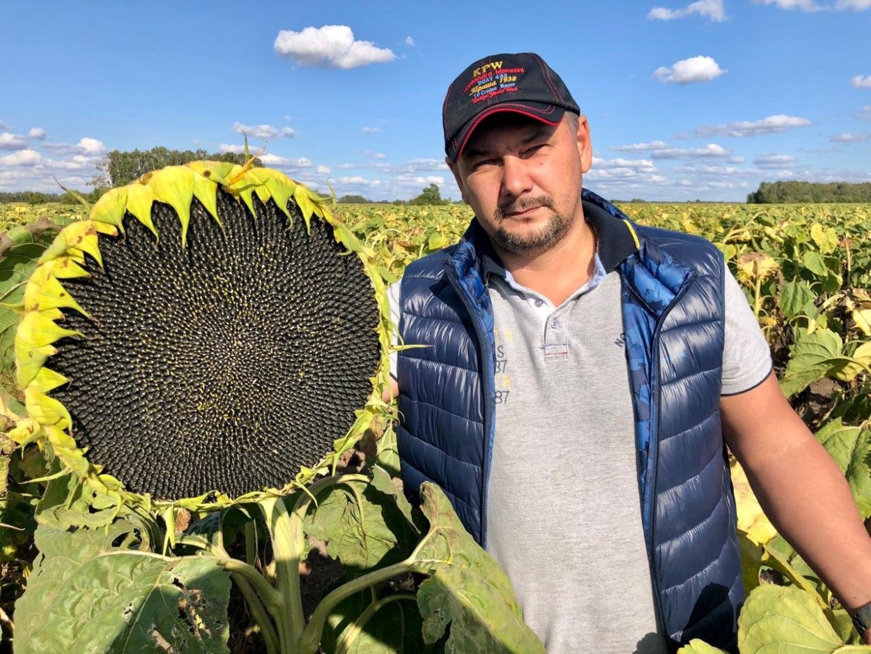 Как скрестить овощи в домашних условиях