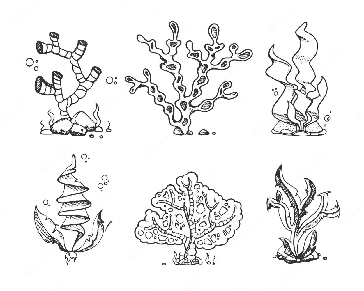 Нарисовать водоросли