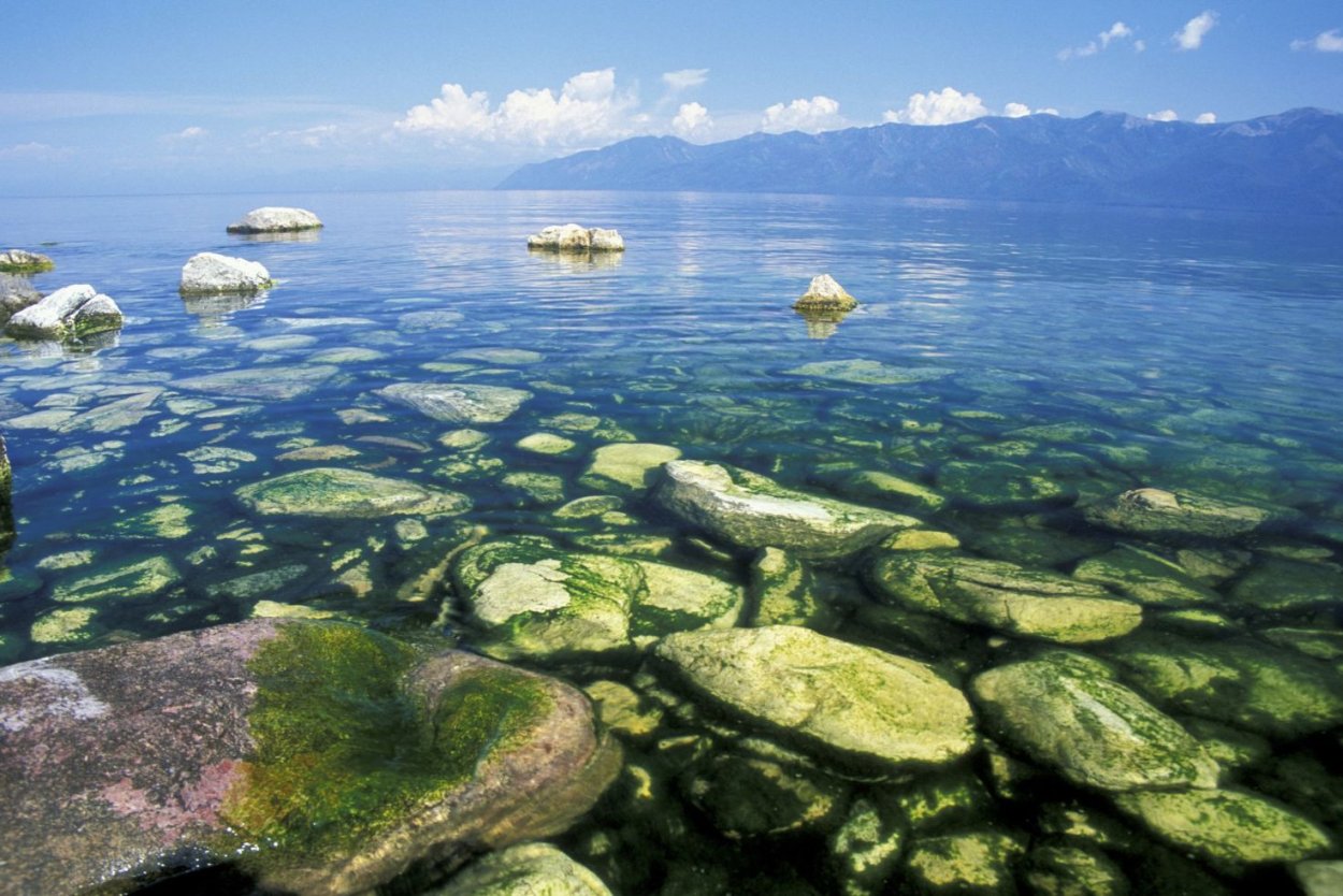 Водный мир Волги