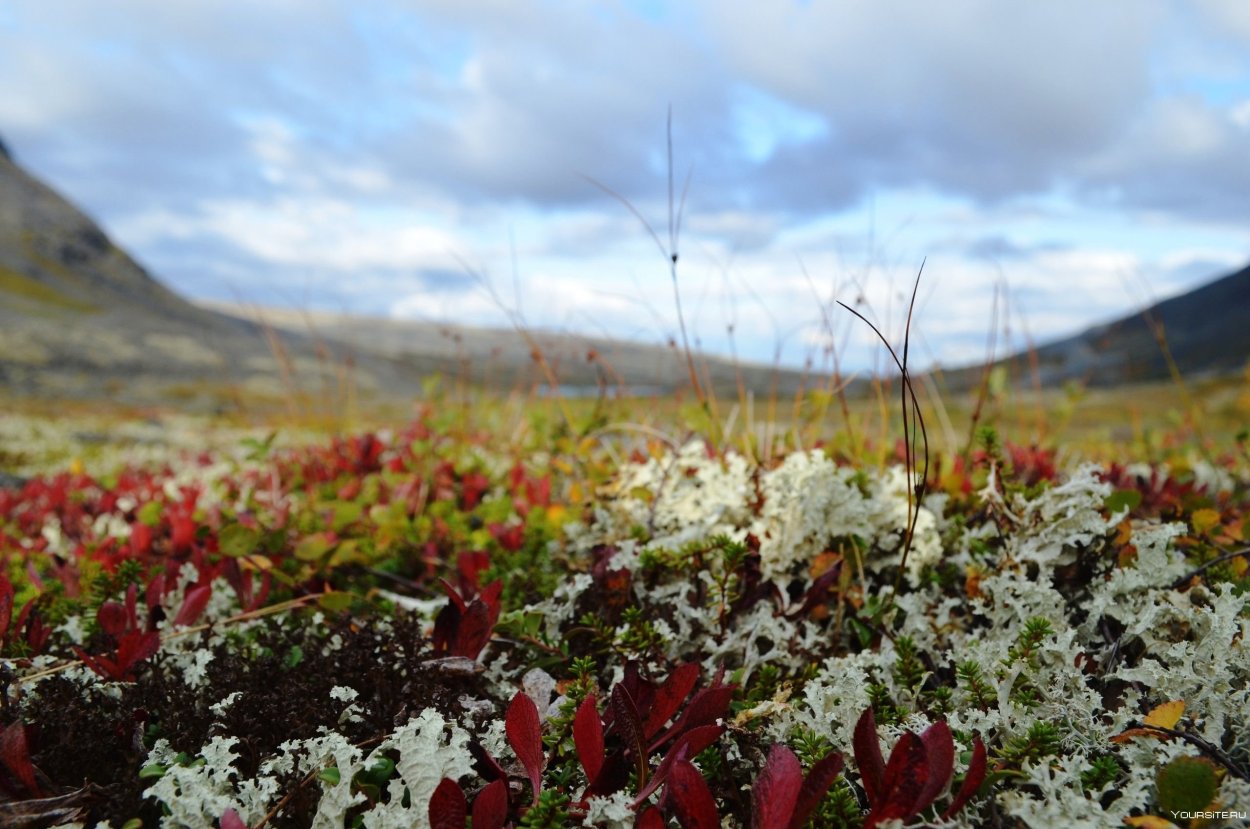 Национальный парк земля Франца Иосифа