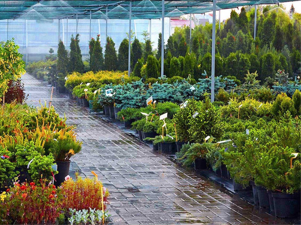 Садовый центр Династия Воронеж