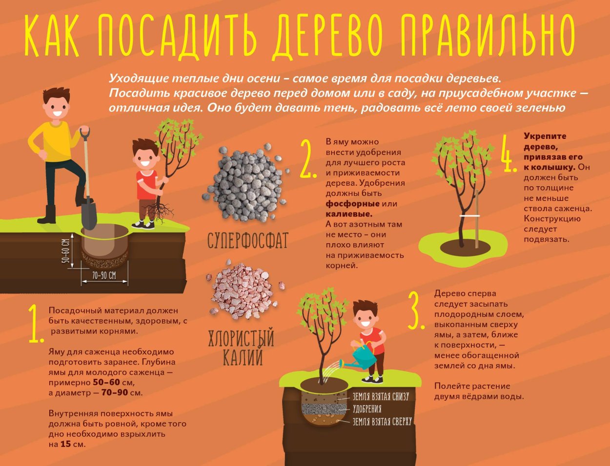 Плодовые деревья в огороде