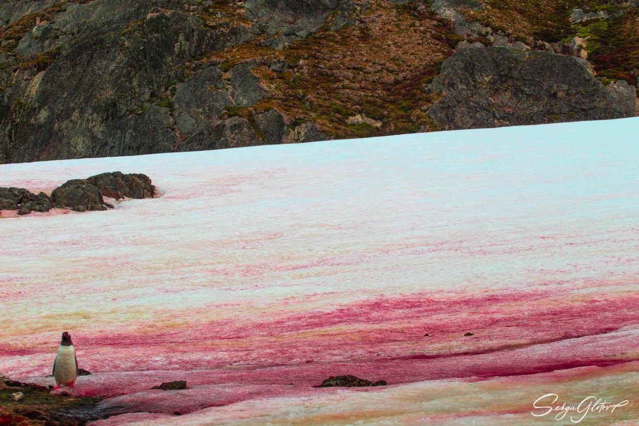 Марко Эваристти