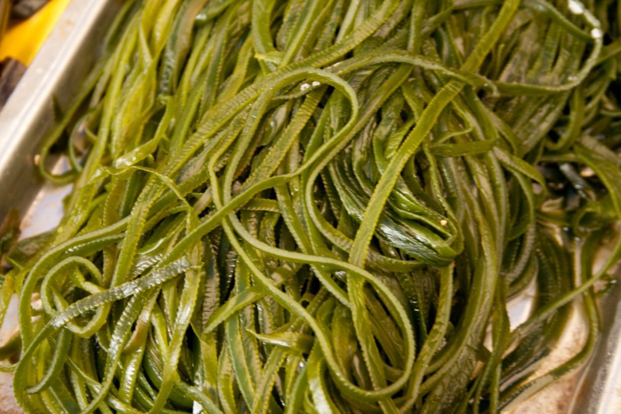 Морская капуста ламинария