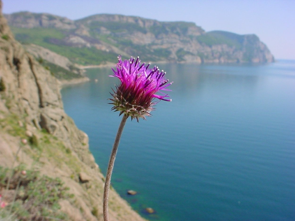 Шетландские острова пейзажи