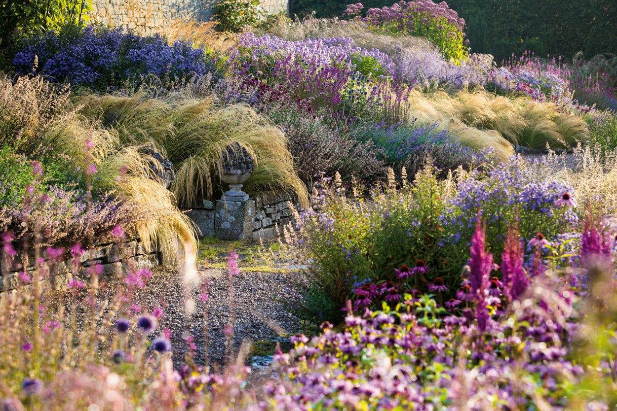 Шотландия поля