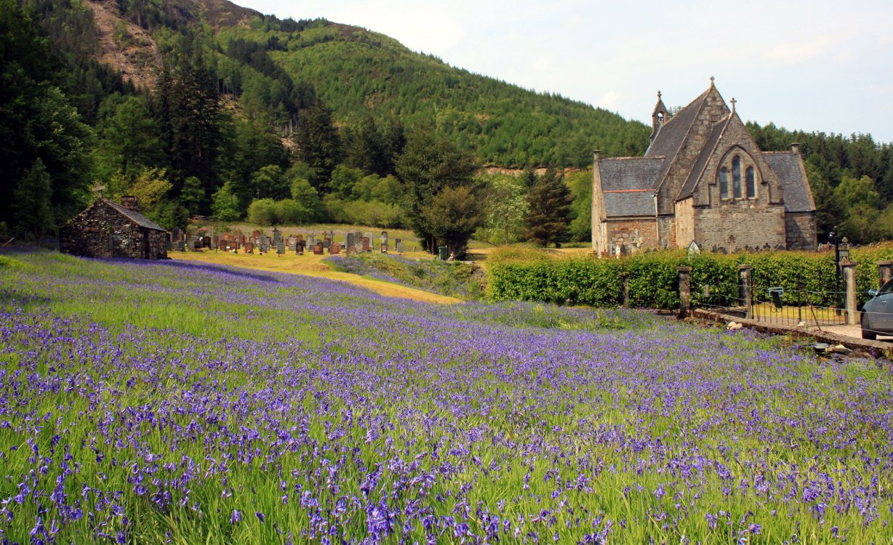 Вересковая Пустошь
