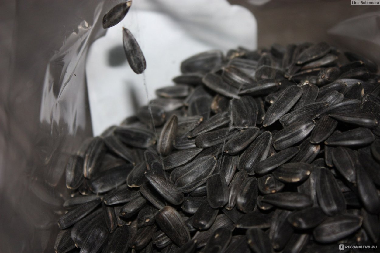 Мировое производство подсолнечного масла