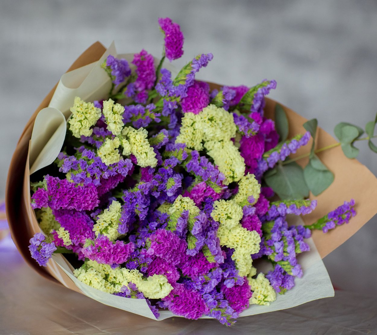 Статица цветы