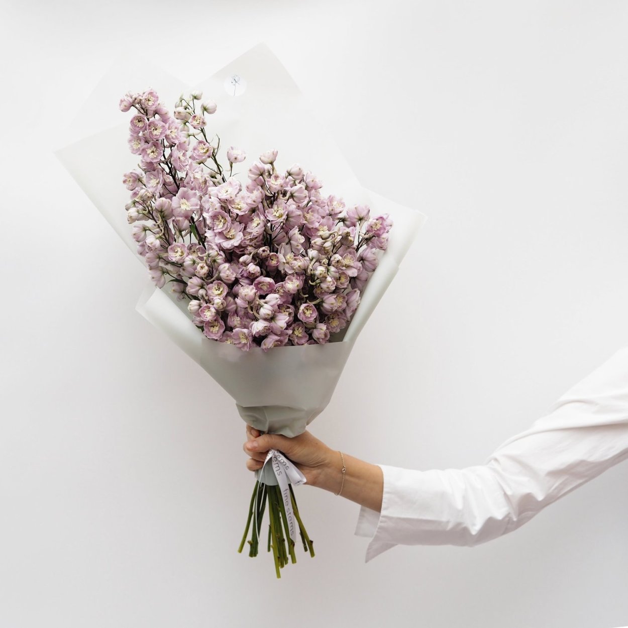 Дельфиниум Монобукет