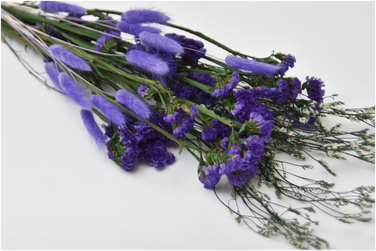 Лимониум Чайна Вайт