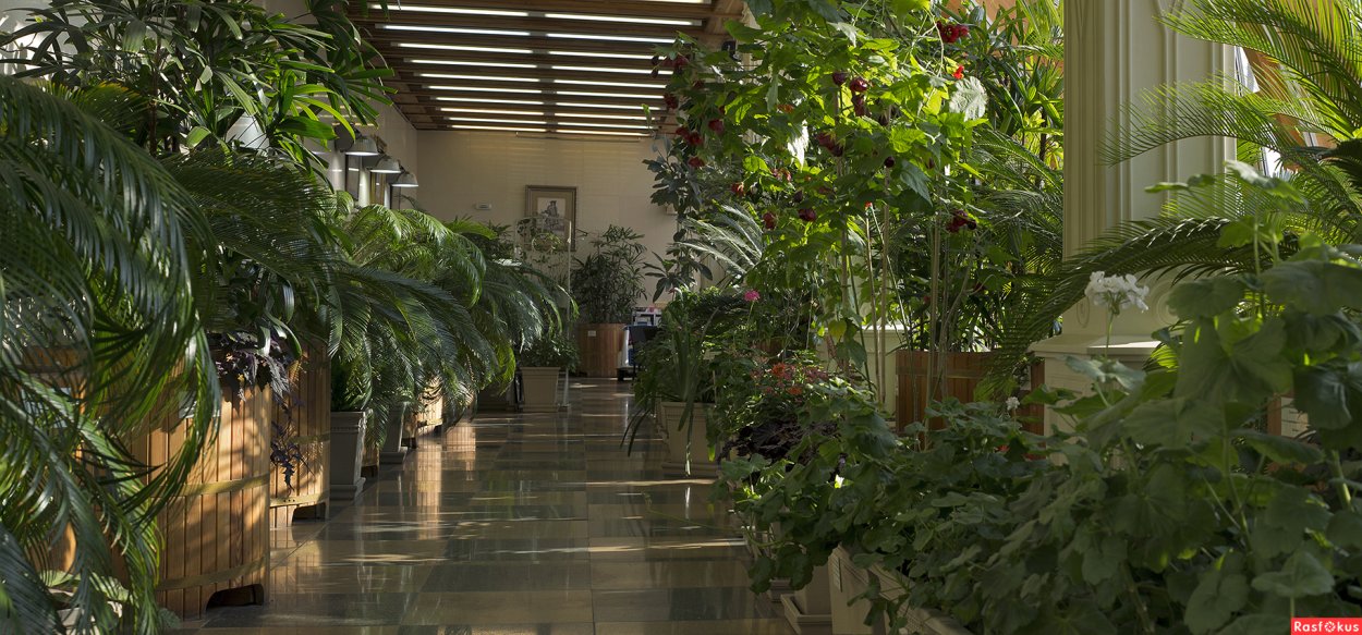 Оранжереи музея-заповедника «Царицыно»