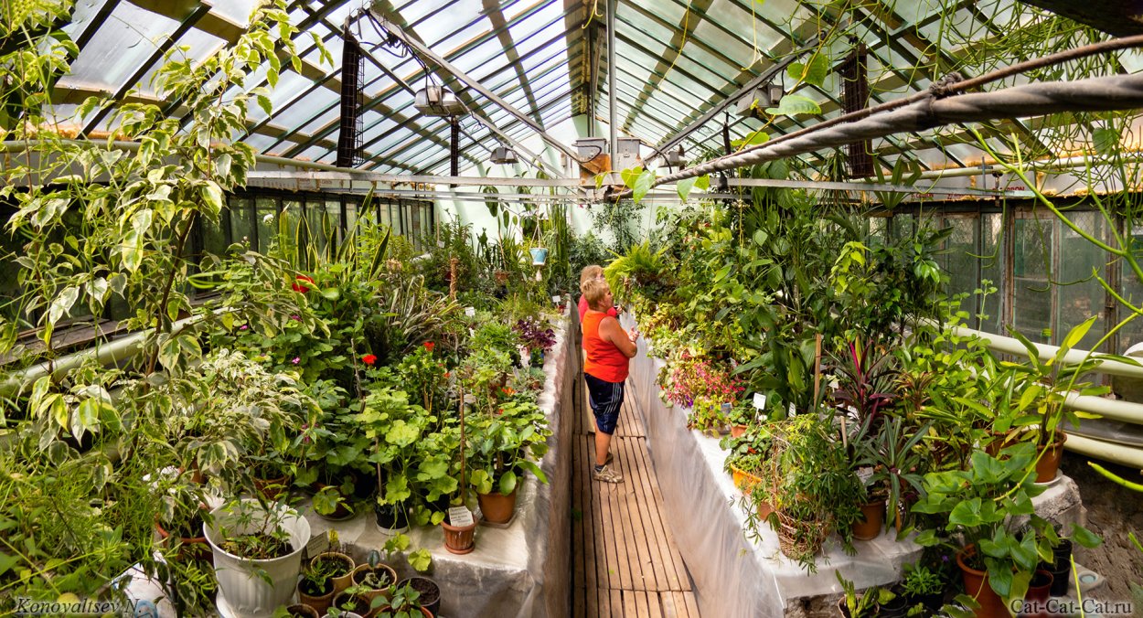 Ботанический сад Дублин