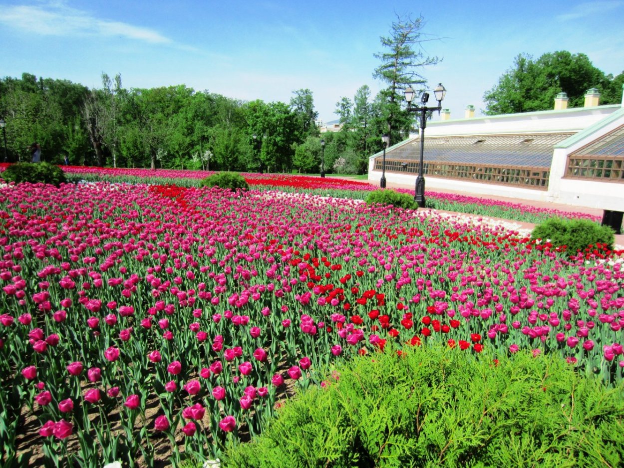 Оранжерейный комплекс Москва