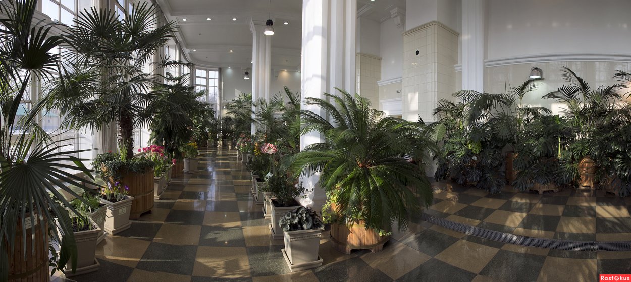 Оранжерея Рим