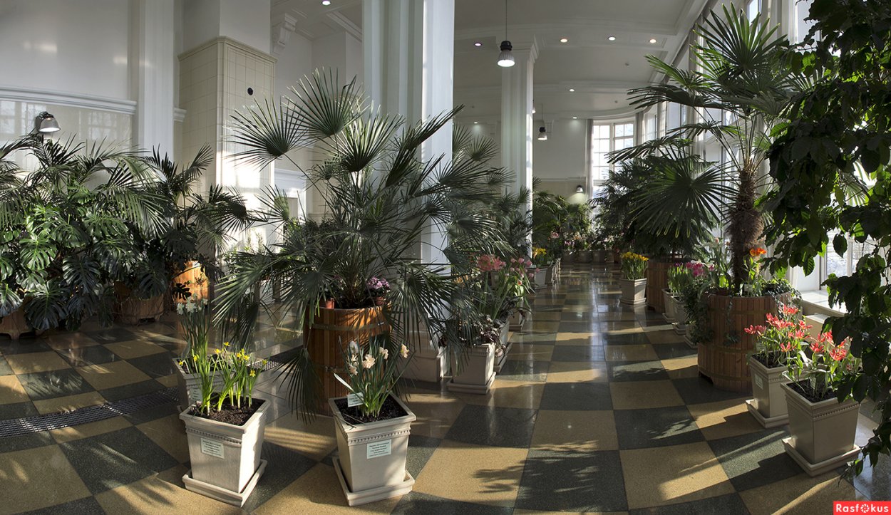 Царицыно Ботанический сад