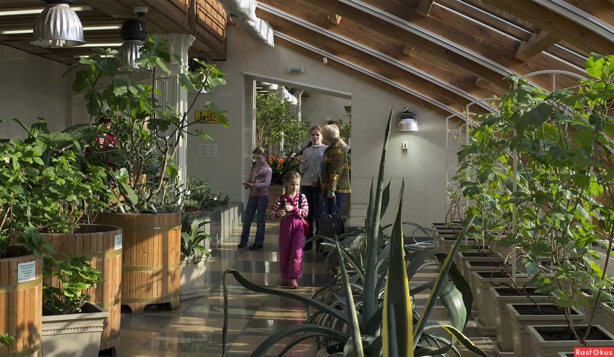 Парк Царицыно Оранжерейный комплекс