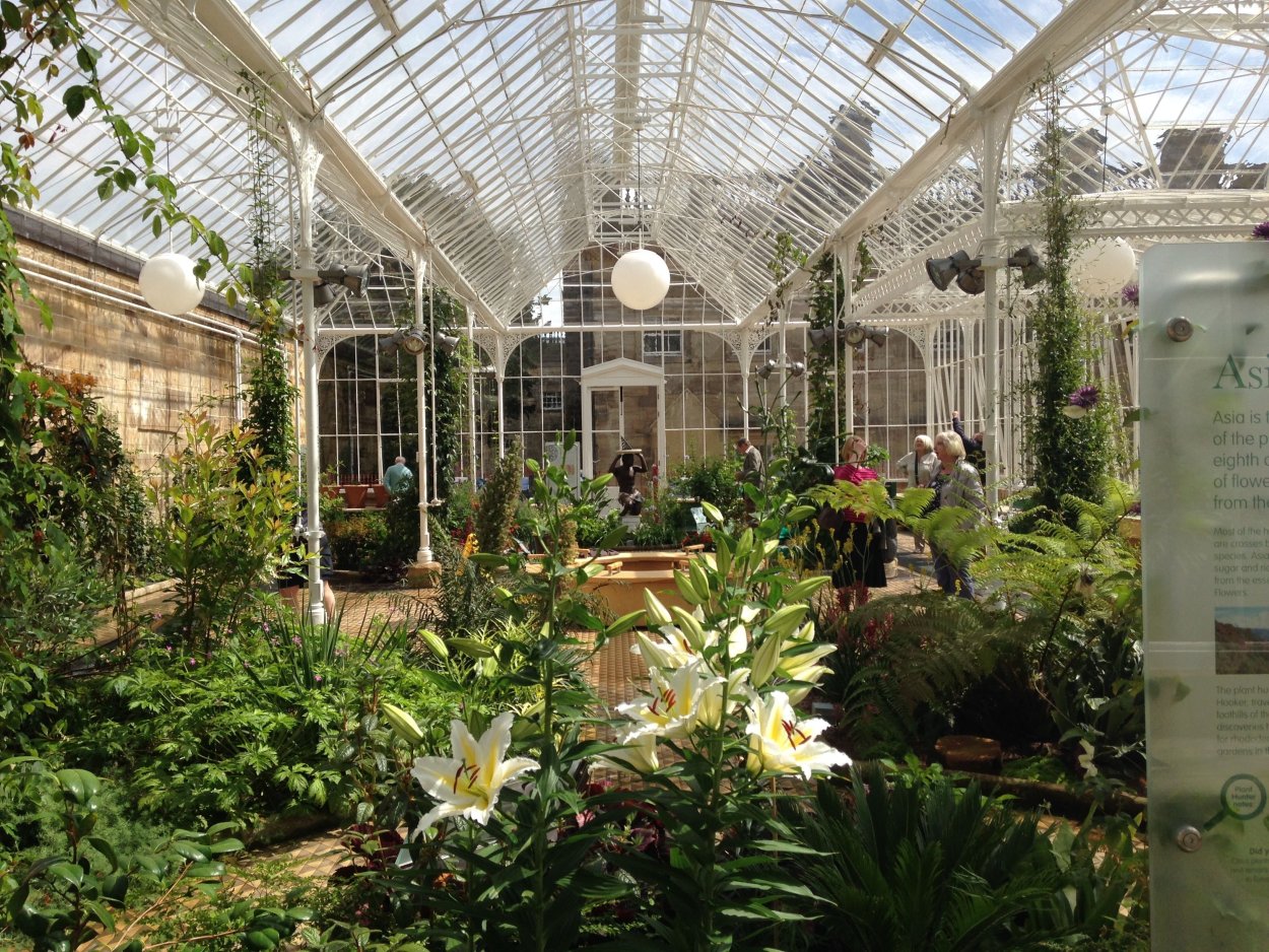 Музей усадьба Кусково