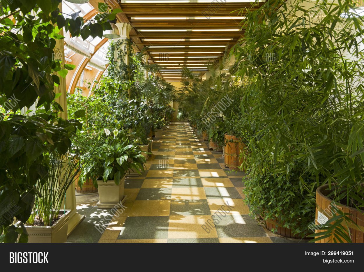 Оранжерея Царицыно внутри