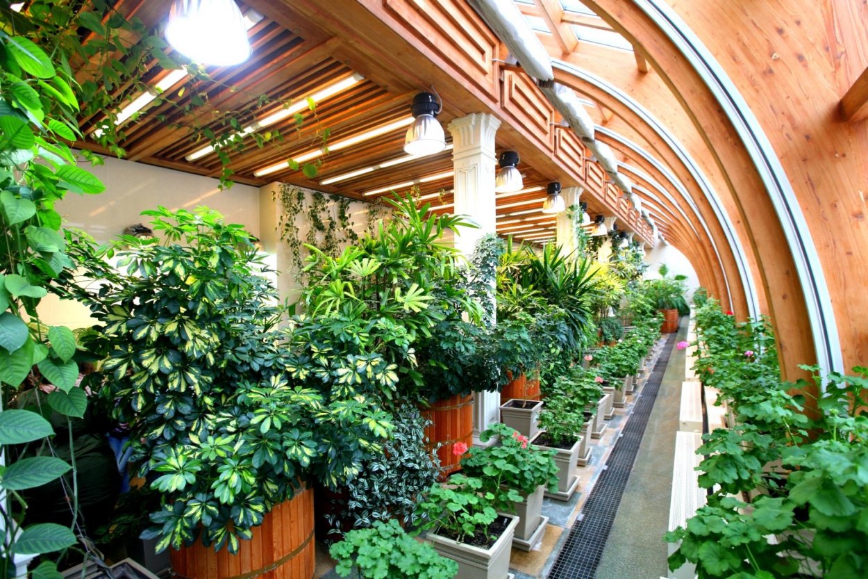 Частная оранжерея Сергей Маринков