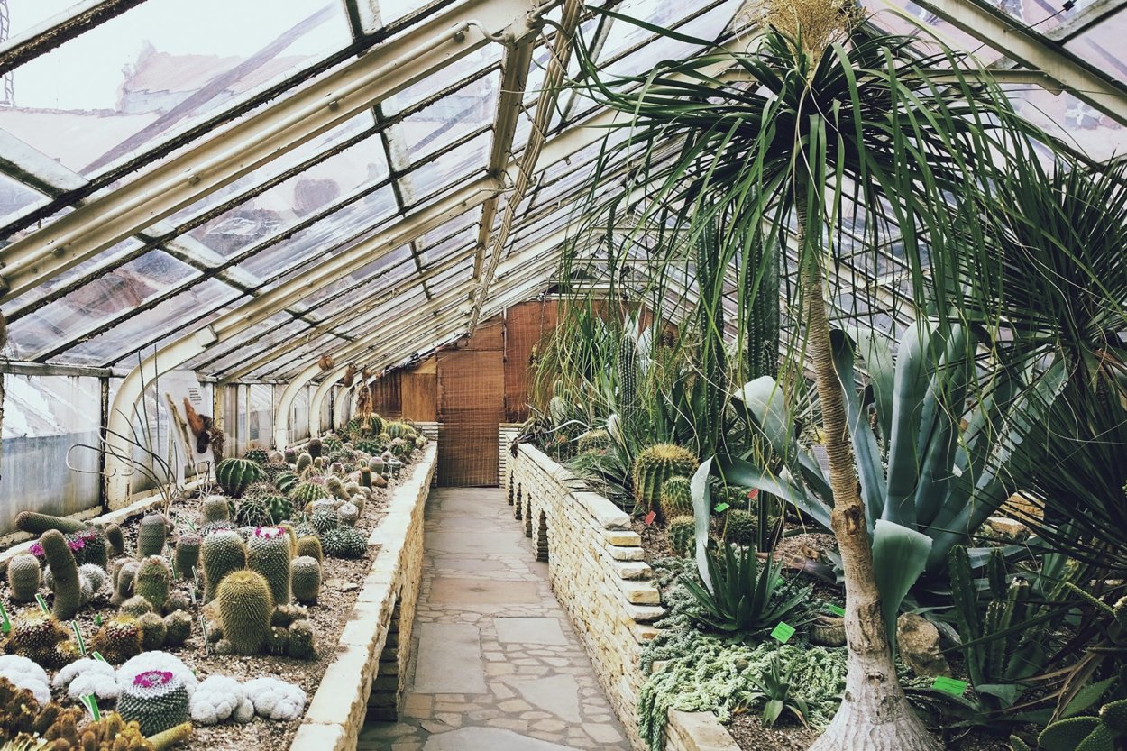 Архитектурно-парковый ансамбль Кусково