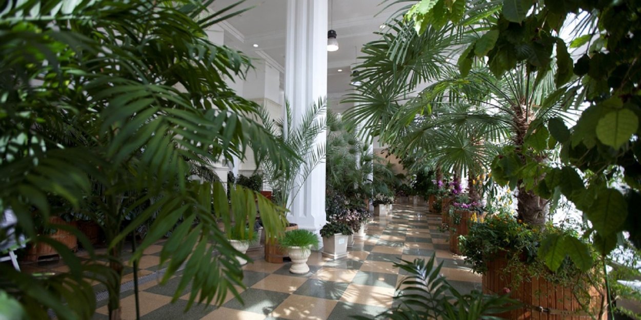 Падуя Ботанический сад оранжерея