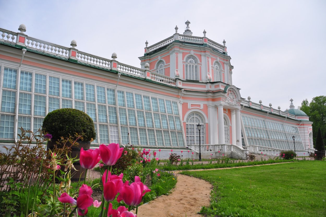 Ботанический сад ЮФУ оранжерея