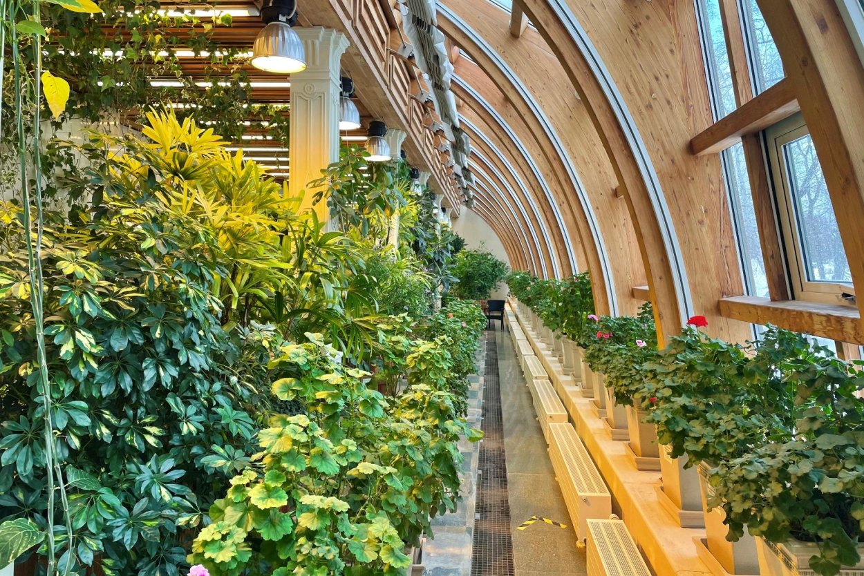 Падуя Ботанический сад оранжерея